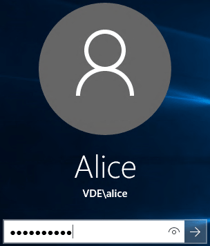 以VDE \ Alice身份登錄VEW3